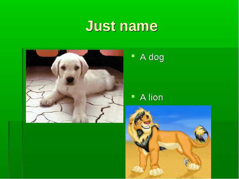 Just name A dog A lion