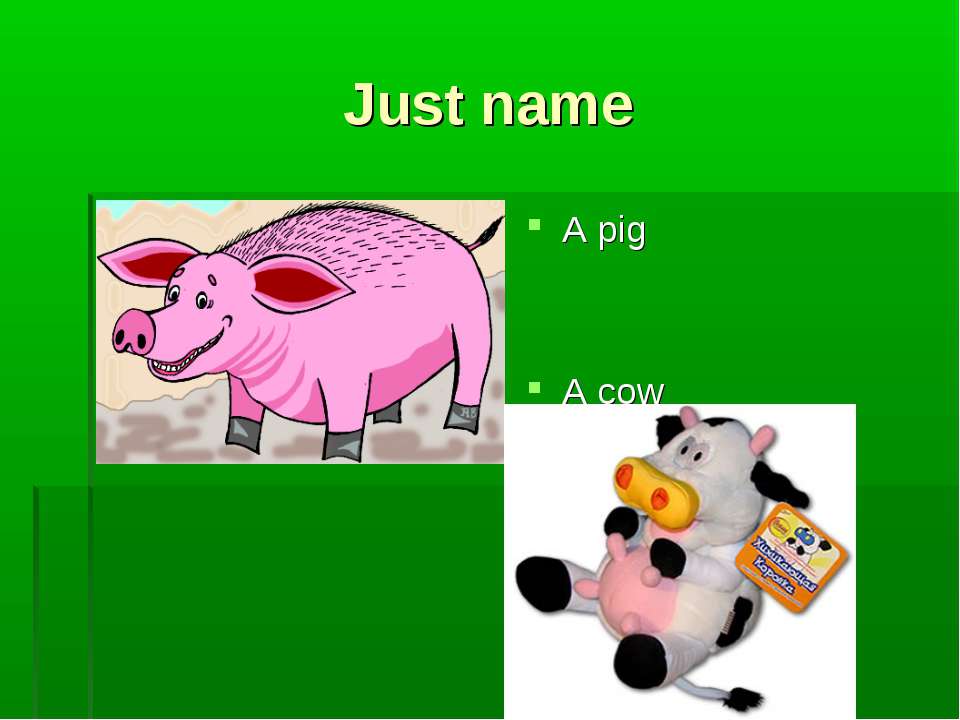 Cow текст. Cow name на английском. Polish Cow текст на русском. Pig name. Polish cow текст