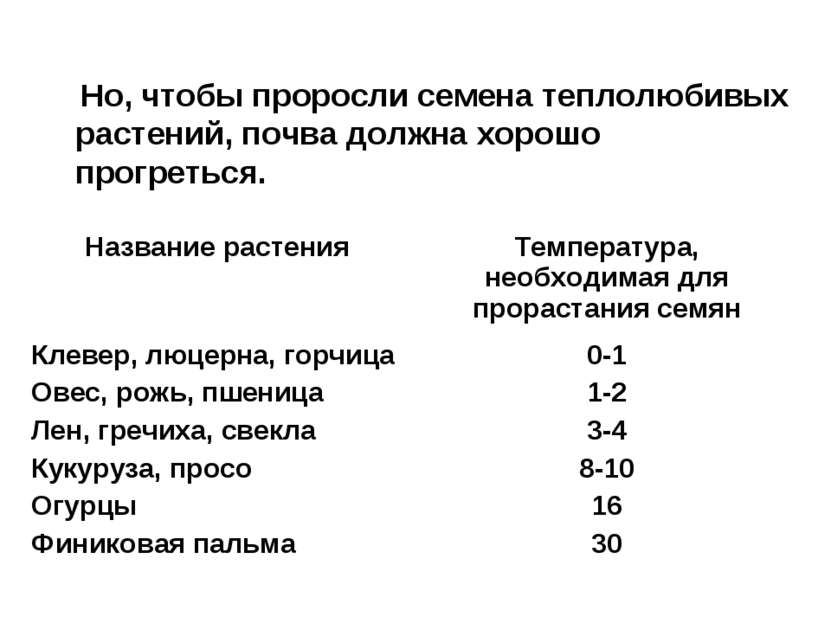 Но, чтобы проросли семена теплолюбивых растений, почва должна хорошо прогреться.