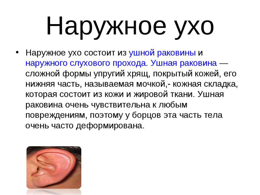 Наружное ухо Наружное ухо состоит из ушной раковины и наружного слухового про...