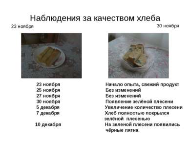 Наблюдения за качеством хлеба 23 ноября Начало опыта, свежий продукт 25 ноябр...