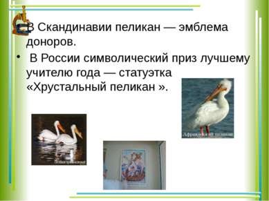 В Скандинавии пеликан — эмблема доноров. В России символический приз лучшему ...