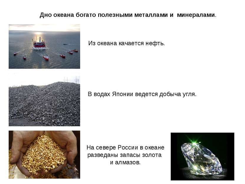 Дно океана богато полезными металлами и минералами. Из океана качается нефть....