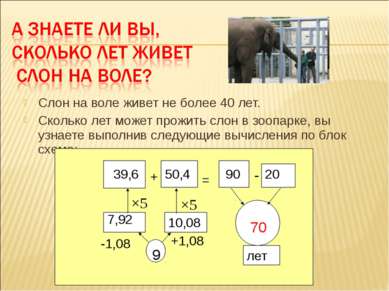 Слон на воле живет не более 40 лет. Сколько лет может прожить слон в зоопарке...
