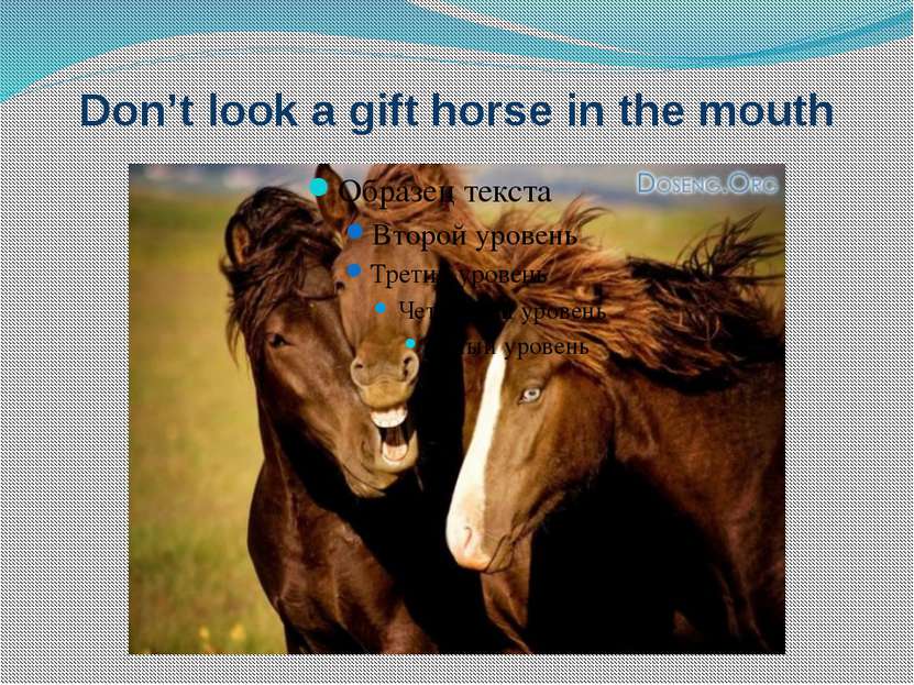 Don’t look a gift horse in the mouth