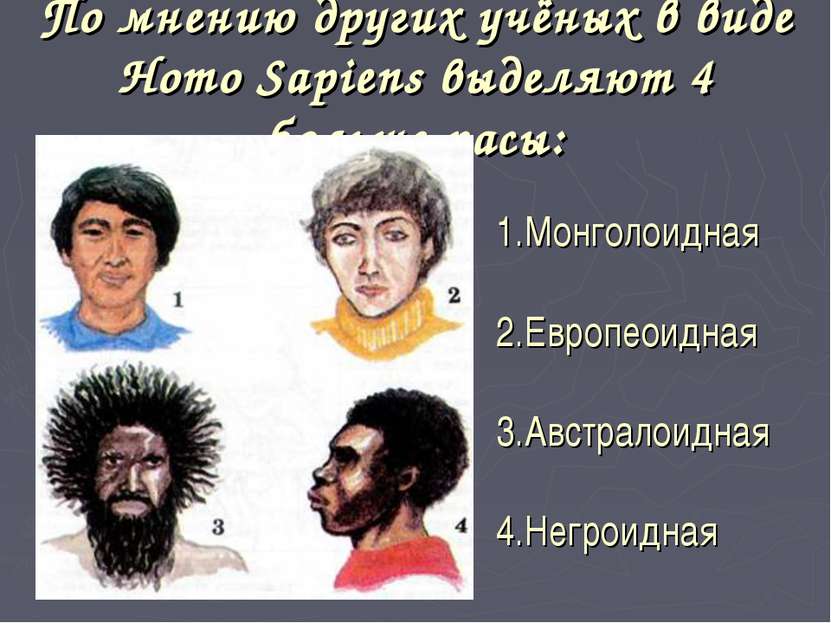 По мнению других учёных в виде Homo Sapiens выделяют 4 больше расы: 1.Монголо...