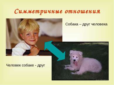 Симметричные отношения Человек собаке - друг Собака – друг человека
