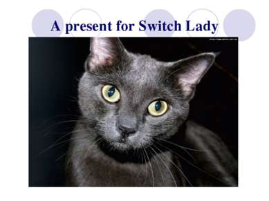 A present for Switch Lady