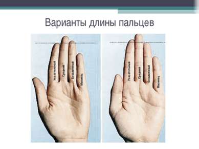 Варианты длины пальцев