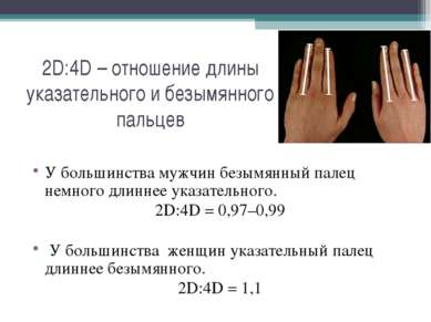 2D:4D – отношение длины указательного и безымянного пальцев У большинства муж...
