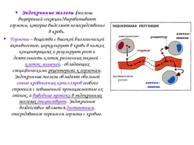 Эндокринные железы (железы внутренней секреции) вырабатывают гормоны, которые...