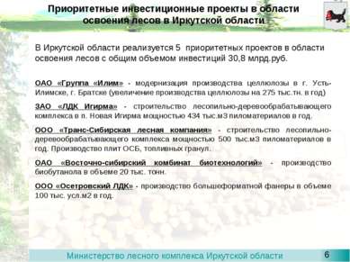 Приоритетные инвестиционные проекты в области освоения лесов в Иркутской обла...