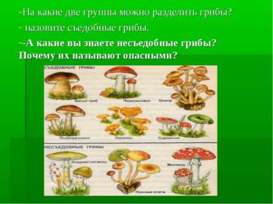 На какие две группы можно разделить грибы? назовите съедобные грибы. -А какие...