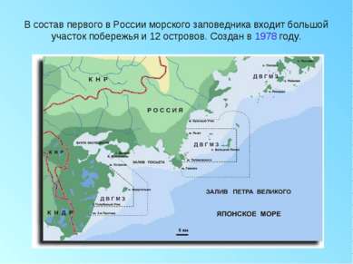 В состав первого в России морского заповедника входит большой участок побереж...