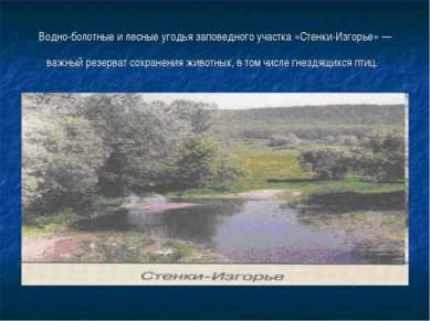 Водно-болотные и лесные угодья заповедного участка «Стенки-Изгорье» — важный ...