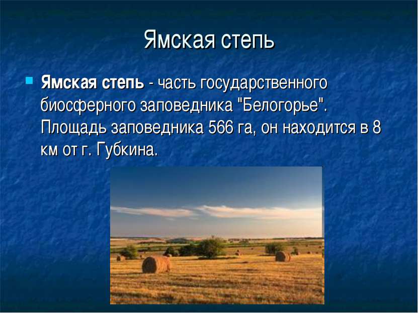 Ямская степь Ямская степь - часть государственного биосферного заповедника "Б...