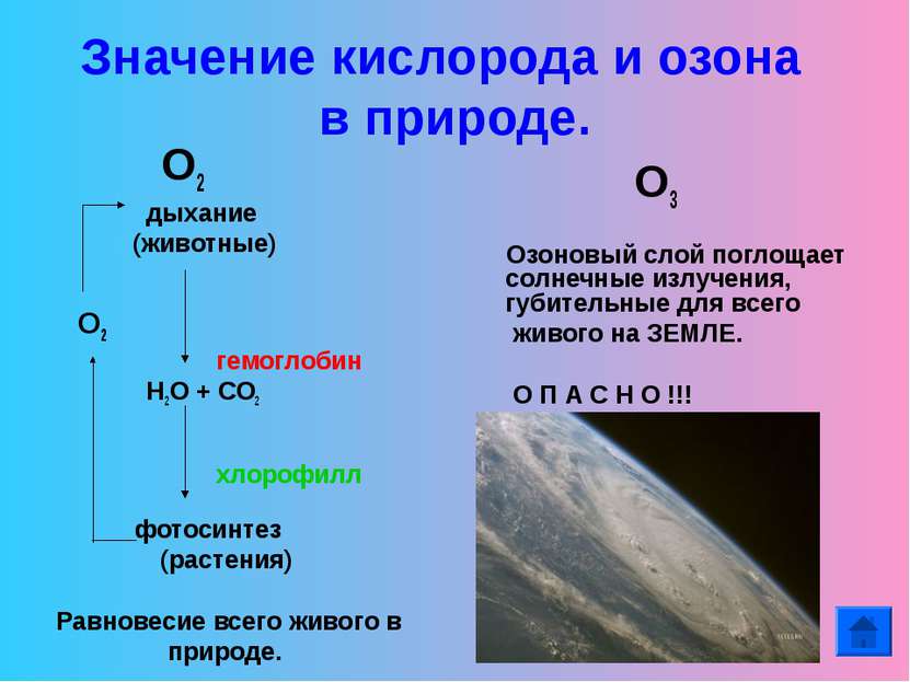 Значение кислорода и озона в природе. О2 дыхание (животные) О2 гемоглобин Н2О...
