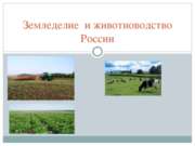 Земледелие и животноводство России