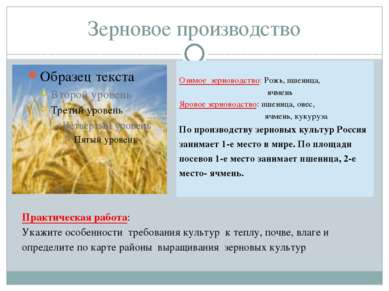 Зерновое производство Практическая работа: Укажите особенности требования кул...