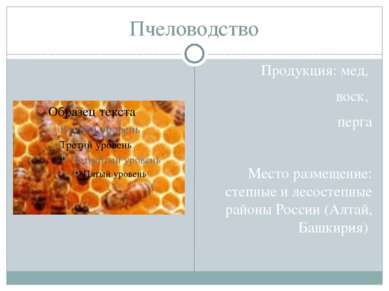 Пчеловодство Продукция: мед, воск, перга Место размещение: степные и лесостеп...