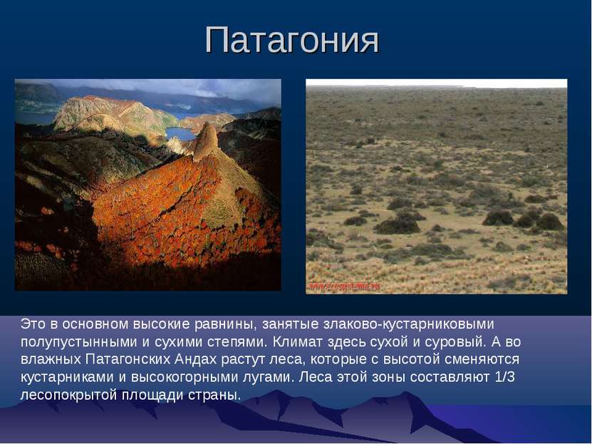 Патагония Это в основном высокие равнины, занятые злаково-кустарниковыми полу...