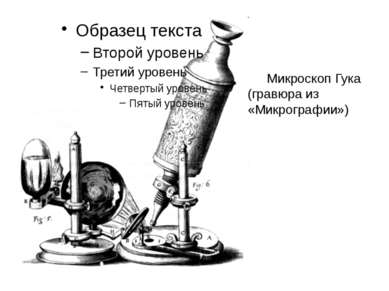 Микроскоп Гука (гравюра из «Микрографии»)