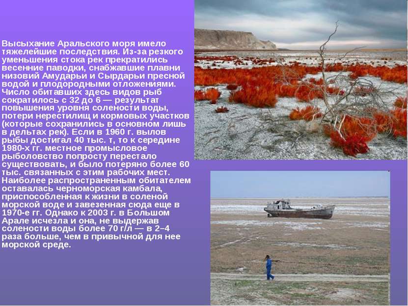 Высыхание Аральского моря имело тяжелейшие последствия. Из-за резкого уменьше...