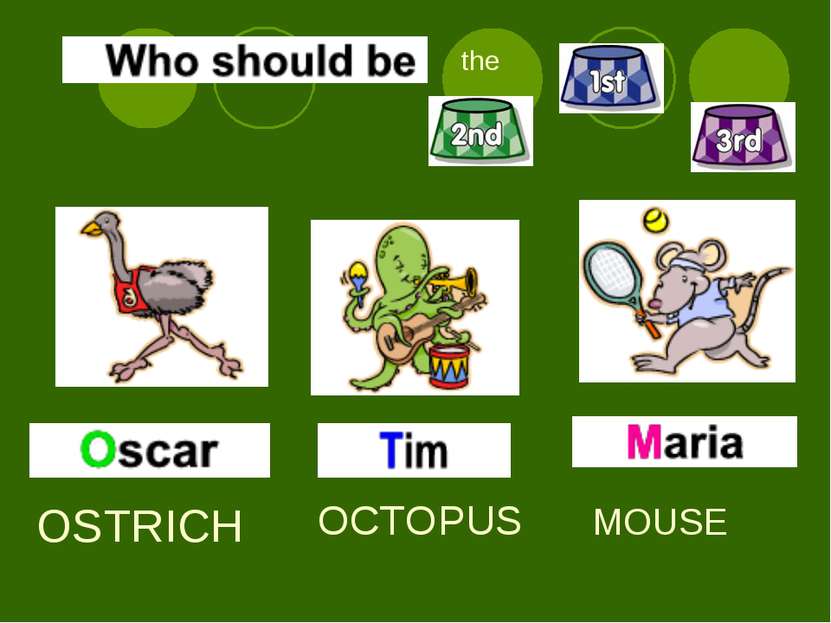 OSTRICH OCTOPUS MOUSE the