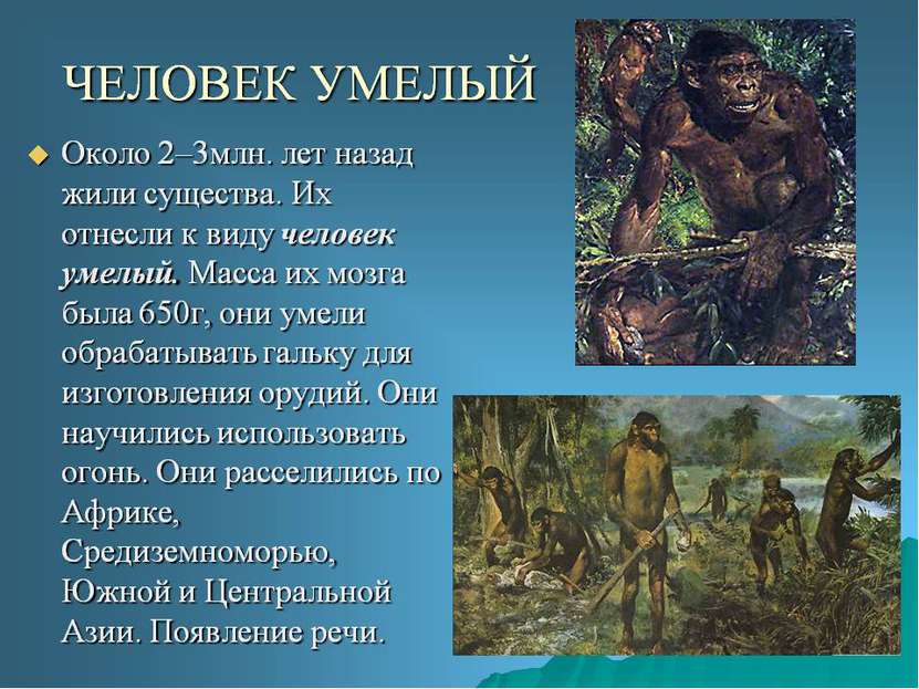 Какие виды людей жили раньше. Человек умелый. Первые люди на земле презентация. Человек умелый где обитал.