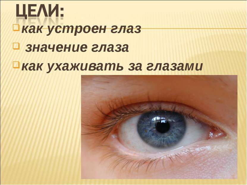 как устроен глаз значение глаза как ухаживать за глазами