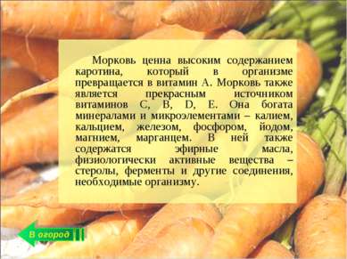 В огород Морковь ценна высоким содержанием каротина, который в организме прев...