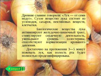 В огород Древние славяне говорили: «Лук — от семи недуг». Сухое вещество лука...