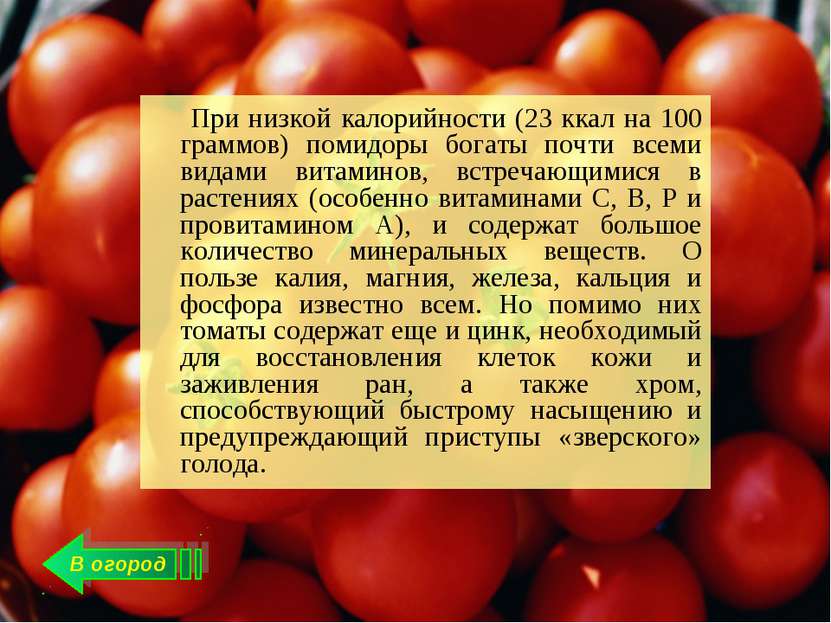 В огород При низкой калорийности (23 ккал на 100 граммов) помидоры богаты поч...