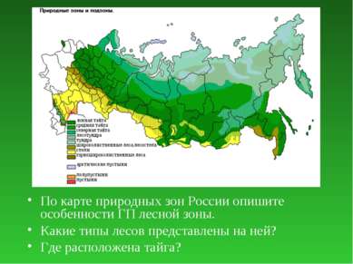 По карте природных зон России опишите особенности ГП лесной зоны. Какие типы ...