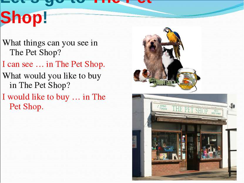 * Let’s go to The Pet Shop! What things can you see in The Pet Shop? I can se...