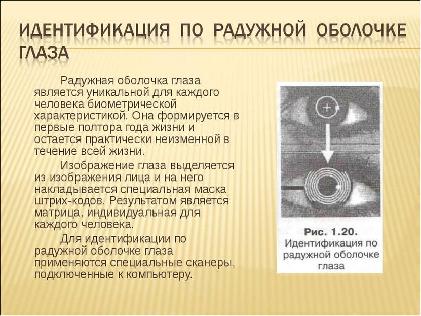 Радужная оболочка глаза является уникальной для каждого человека биометрическ...