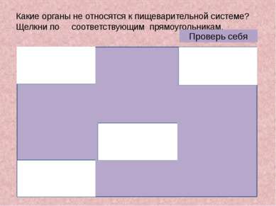 Какие органы не относятся к пищеварительной системе? Щелкни по соответствующи...