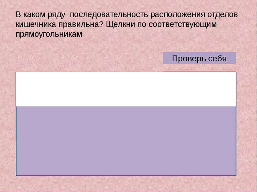 В каком ряду последовательность расположения отделов кишечника правильна? Щел...