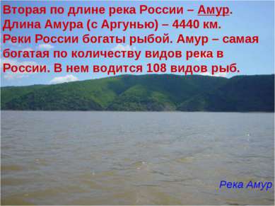 Вторая по длине река России – Амур. Длина Амура (с Аргунью) – 4440 км. Реки Р...
