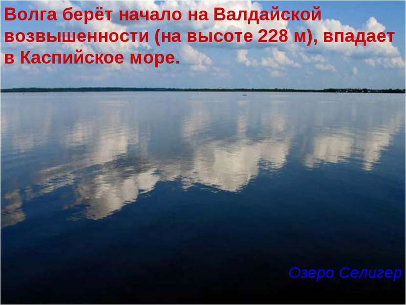 Волга берёт начало на Валдайской возвышенности (на высоте 228 м), впадает в К...
