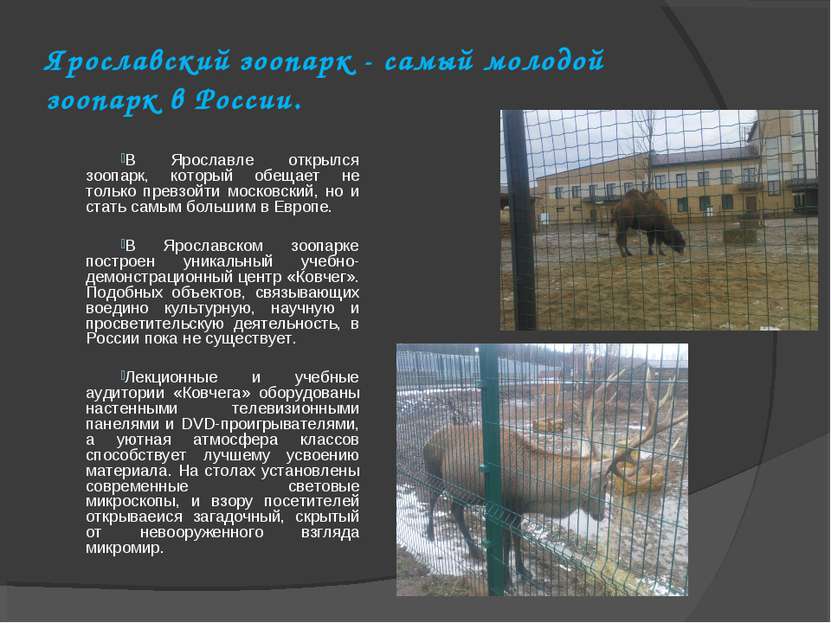 Ярославский зоопарк - самый молодой зоопарк в России. В Ярославле открылся зо...