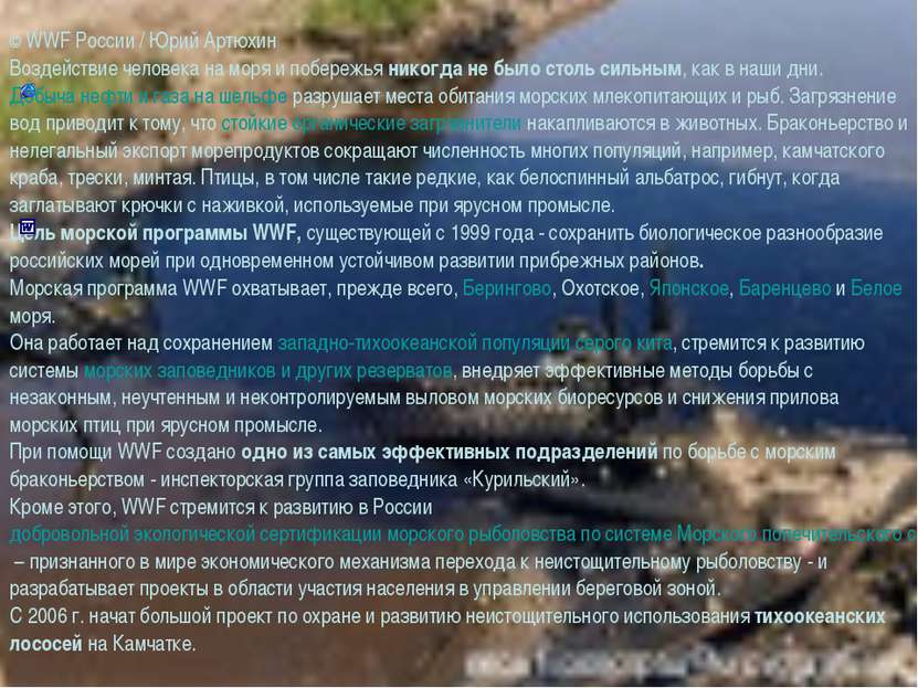 © WWF России / Юрий Артюхин Воздействие человека на моря и побережья никогда ...