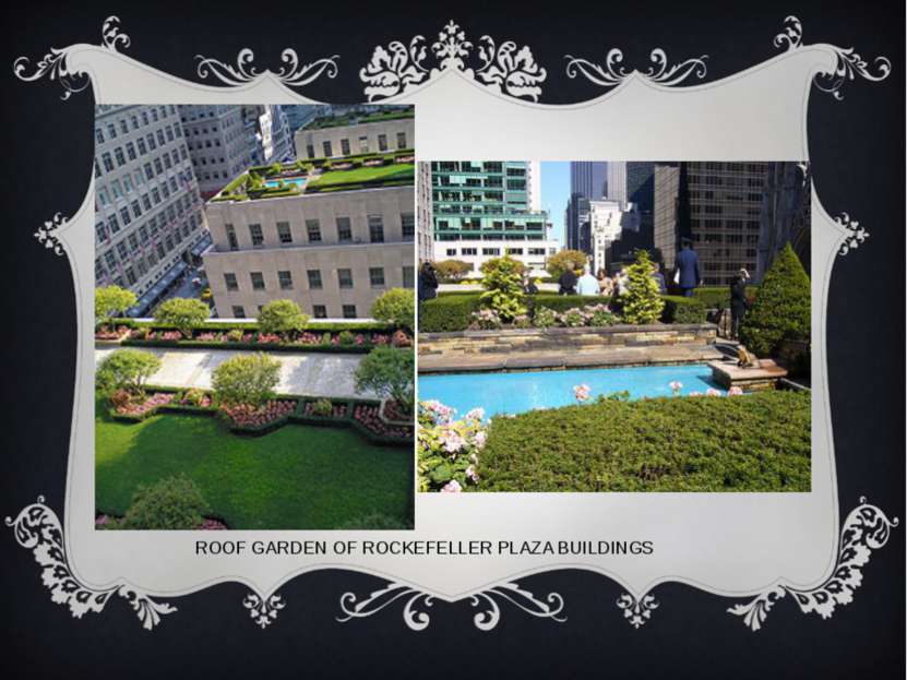 ROOF GARDEN OF ROCKEFELLER PLAZA BUILDINGS