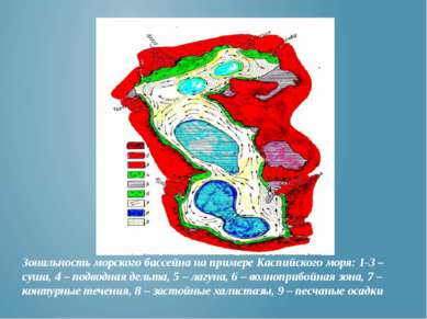 Зональность морского бассейна на примере Каспийского моря: 1-3 – суша, 4 – по...
