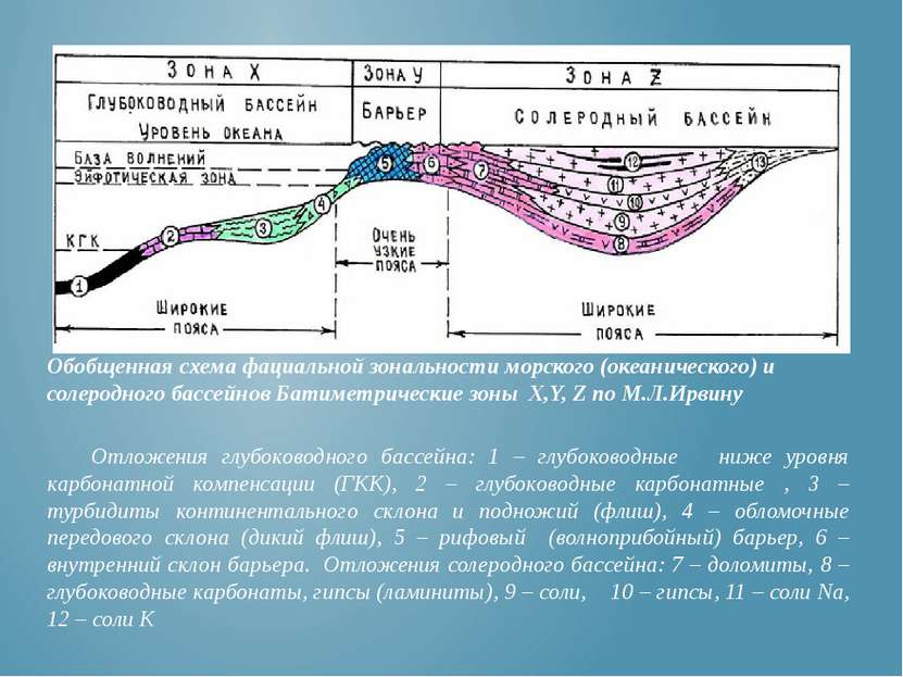 Обобщенная схема фациальной зональности морского (океанического) и солеродног...
