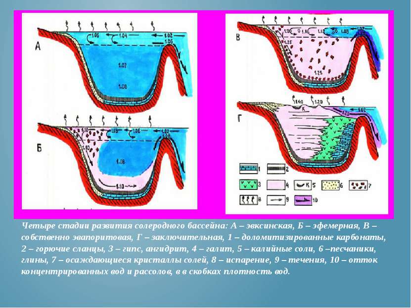 Четыре стадии развития солеродного бассейна: А – эвксинская, Б – эфемерная, В...