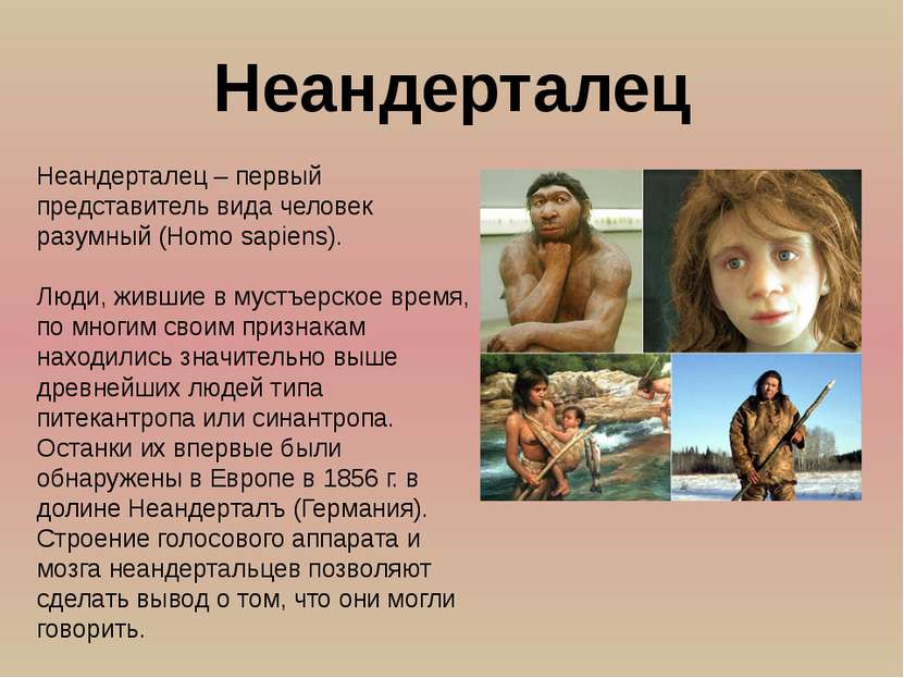 Неандерталец – первый представитель вида человек разумный (Homo sapiens). Люд...
