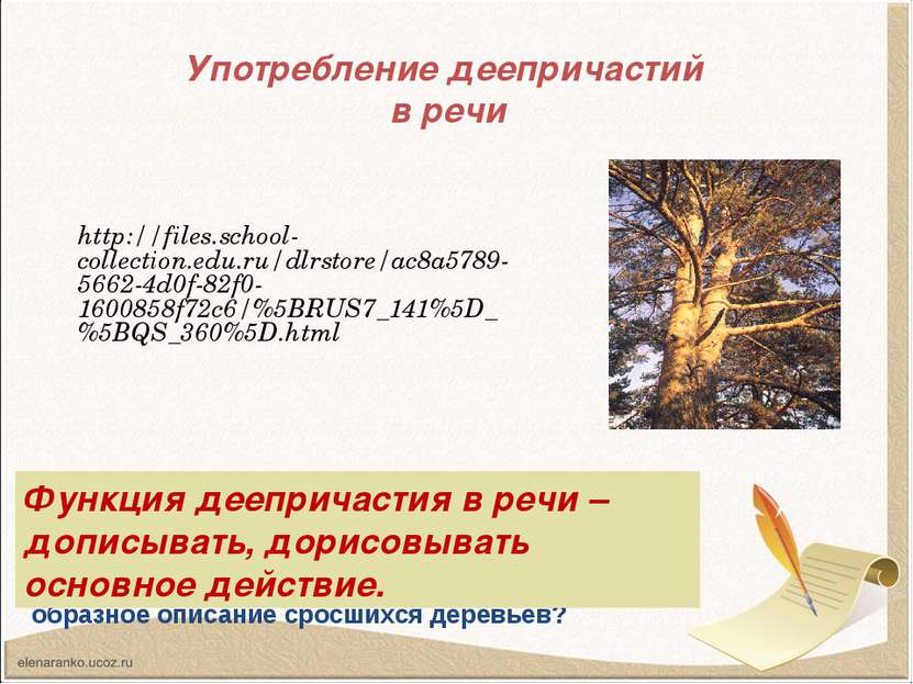 Употребление деепричастий в речи http://files.school-collection.edu.ru/dlrsto...