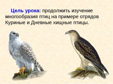 Цель урока: продолжить изучение многообразия птиц на примере отрядов Куриные ...