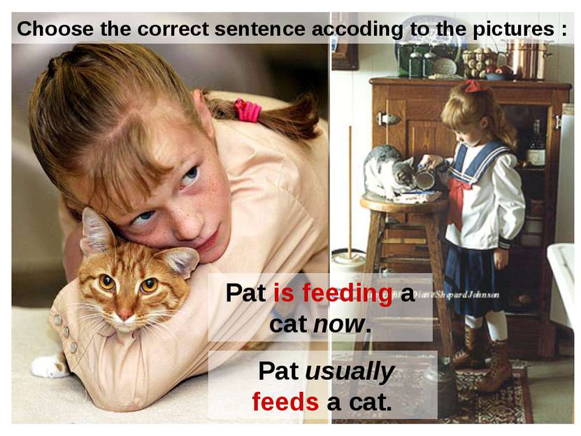 Pat is feeding a cat now. Pat usually feeds a cat. Choose the correct sentenc...